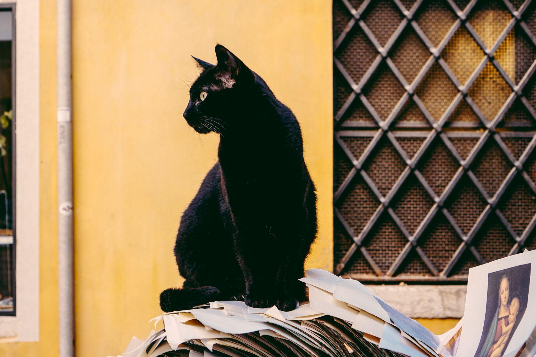 most irrational superstitions