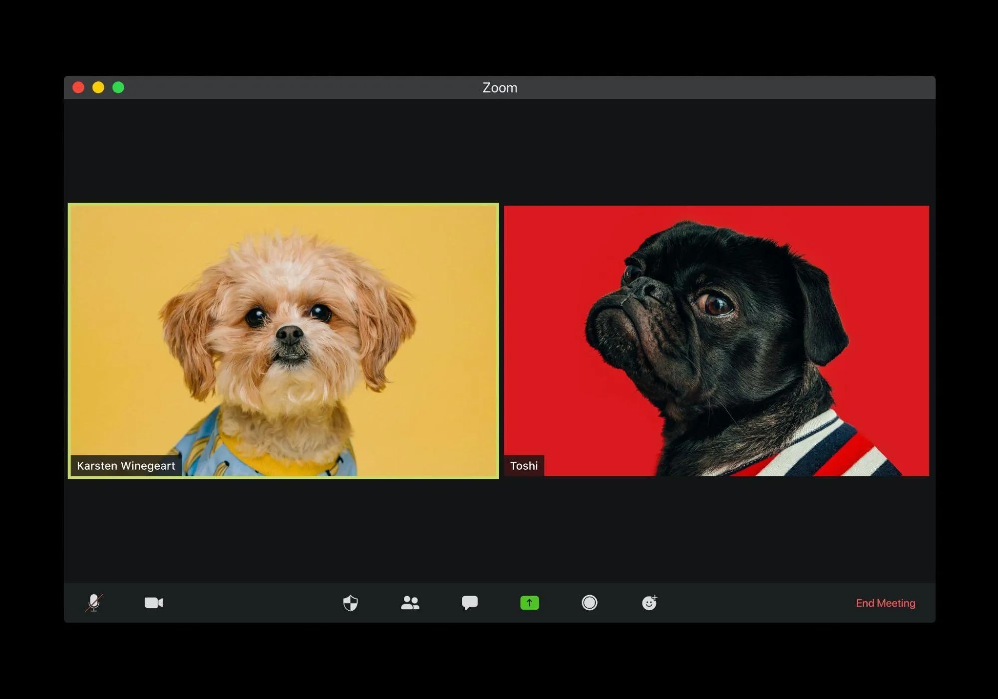 Is Google Meet Better Than Zoom?