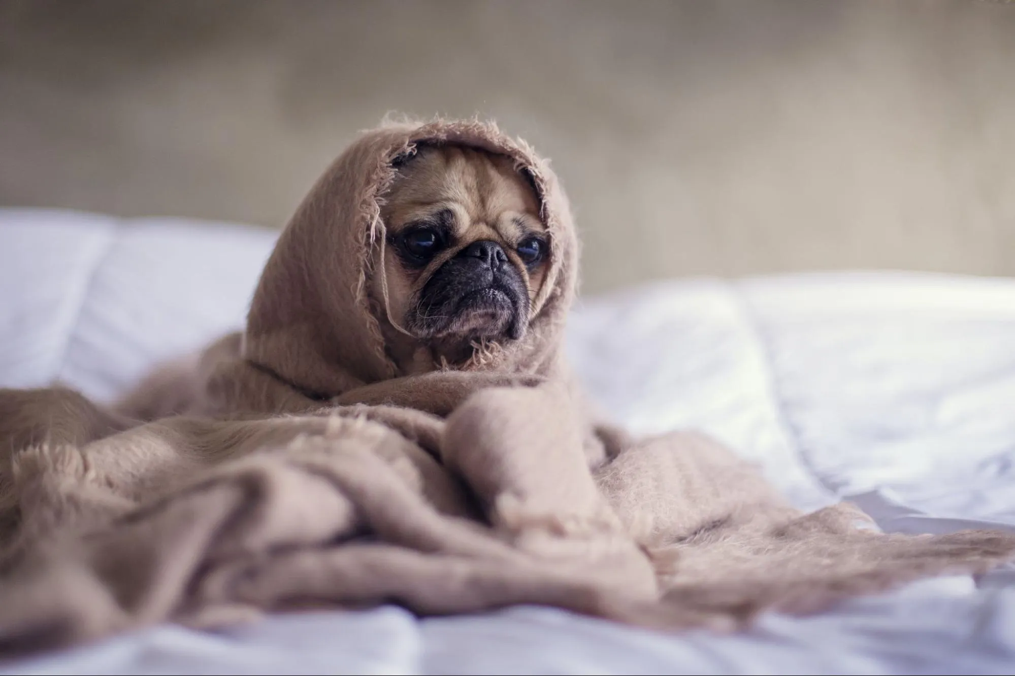 How Do You Deal With Stress?