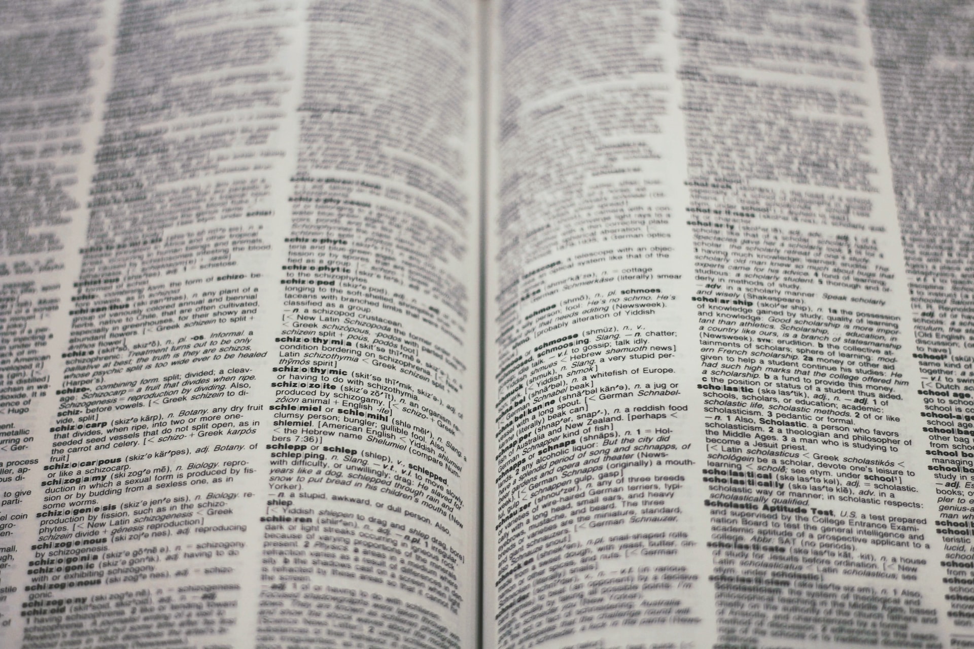 weirdest words