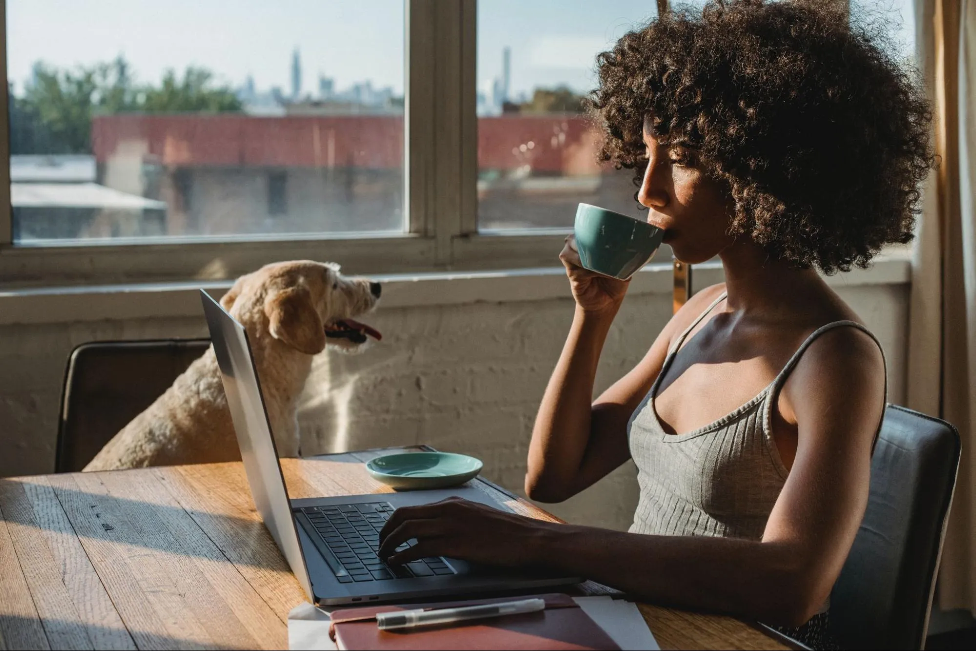What Are Some Dog Business Ideas?