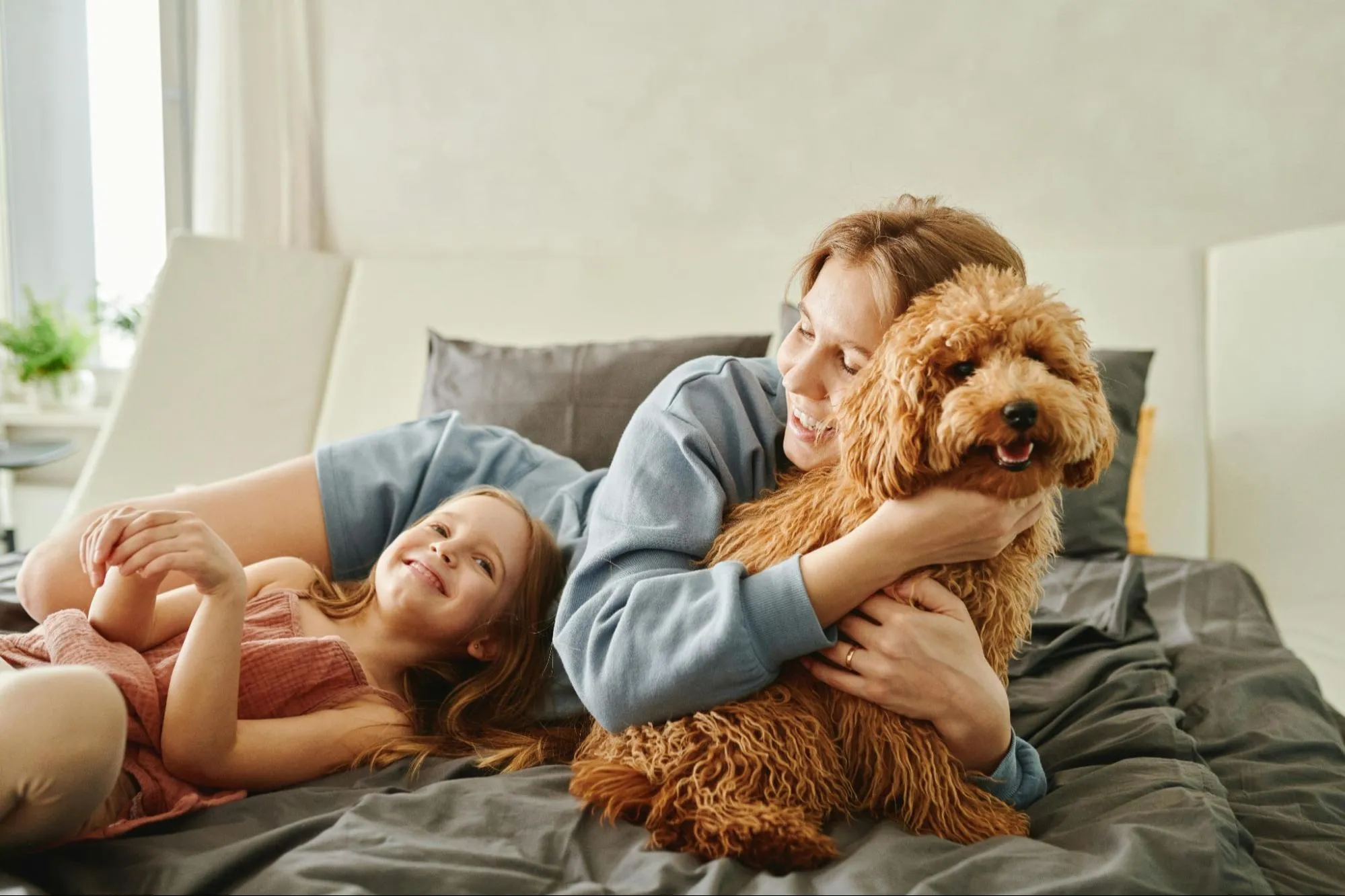 What Factors Should Families Consider When Choosing a Pet?